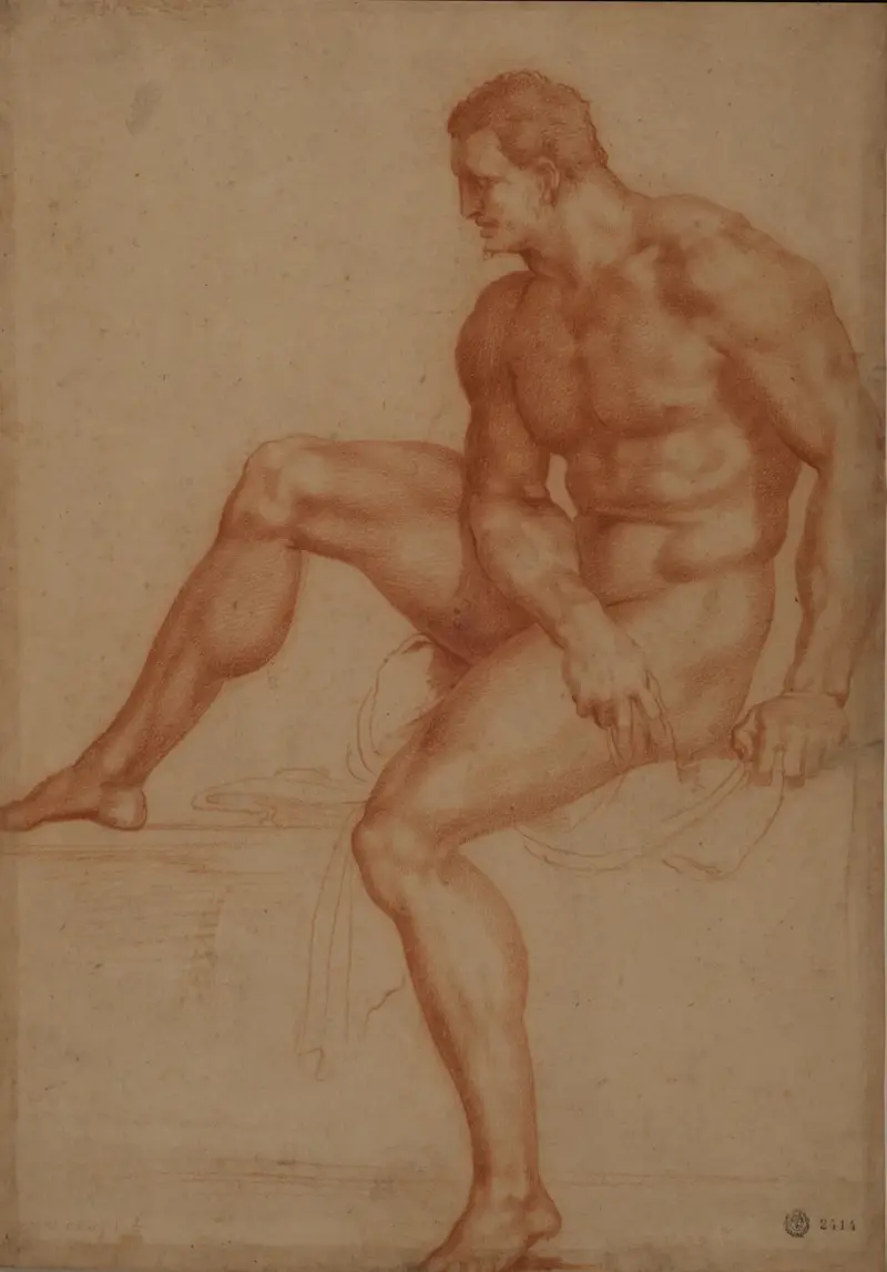 Estudio para Hércules av Baccio Bandinelli