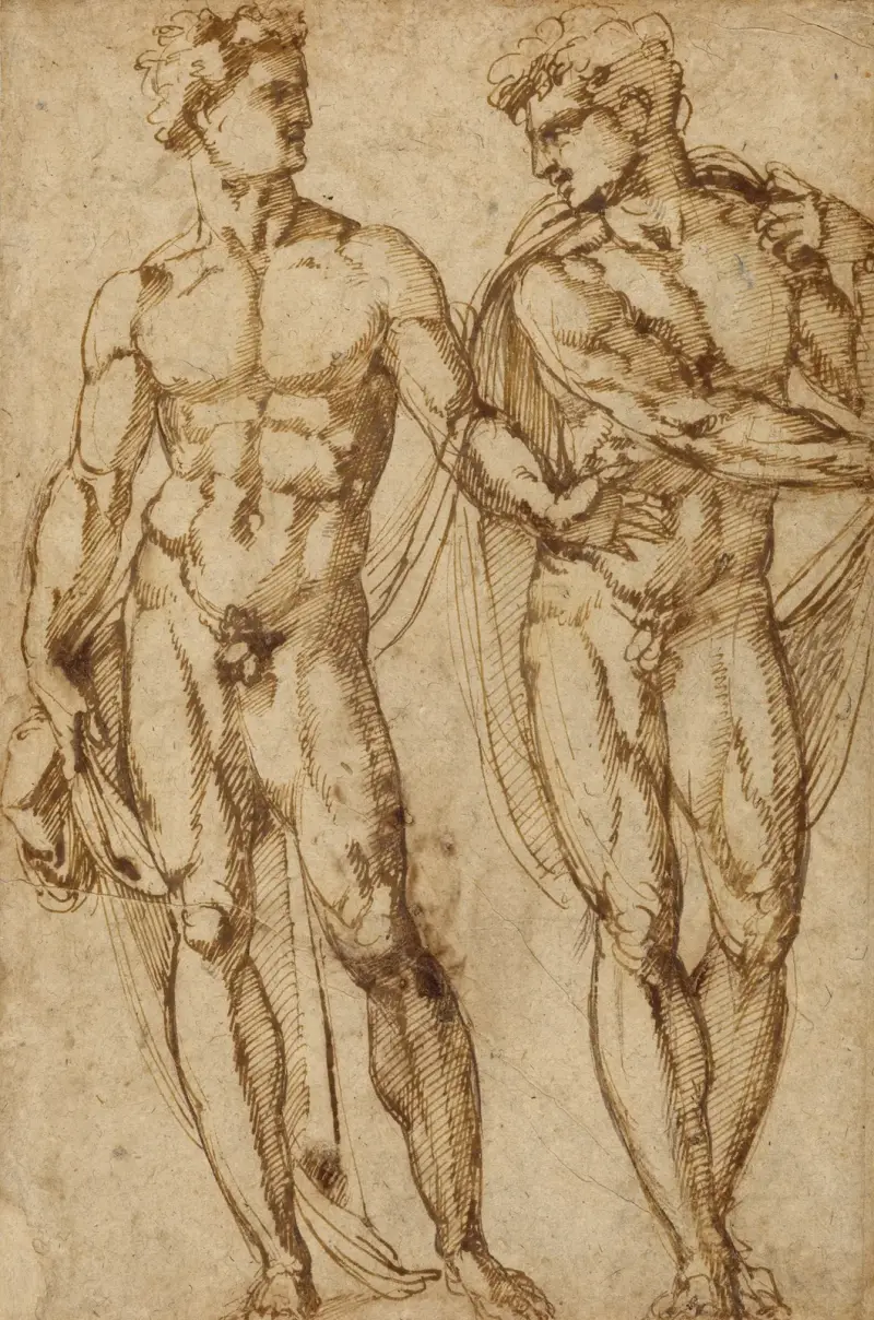 Studie dvou mužů, Baccio Bandinelli