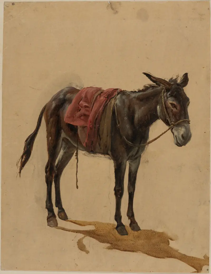 Esel von Johann Baptist Kirner