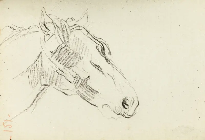 Studie av hästhuvud av Jean-Baptiste Carpeaux