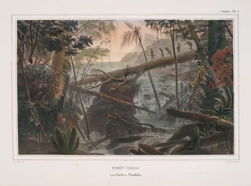 Forêt vierge av Jean Baptiste Debret