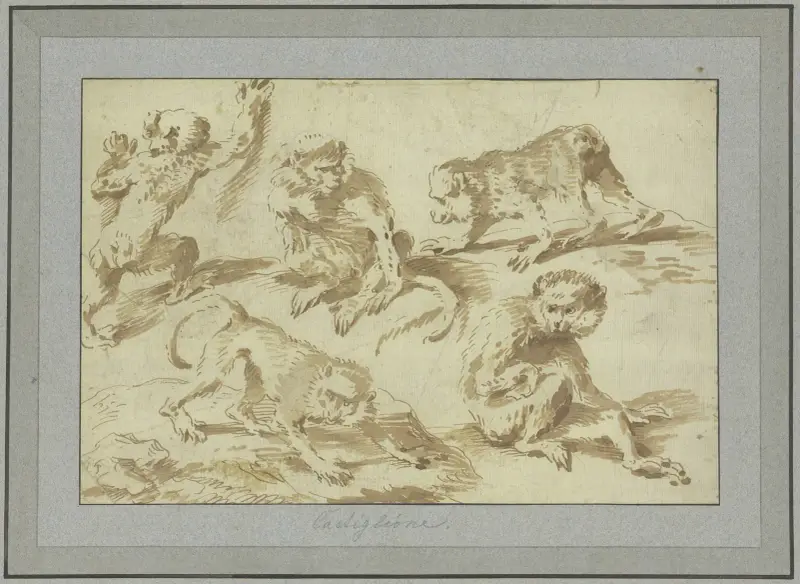 Fem apor i olika ställningar av Giovanni Benedetto Castiglione
