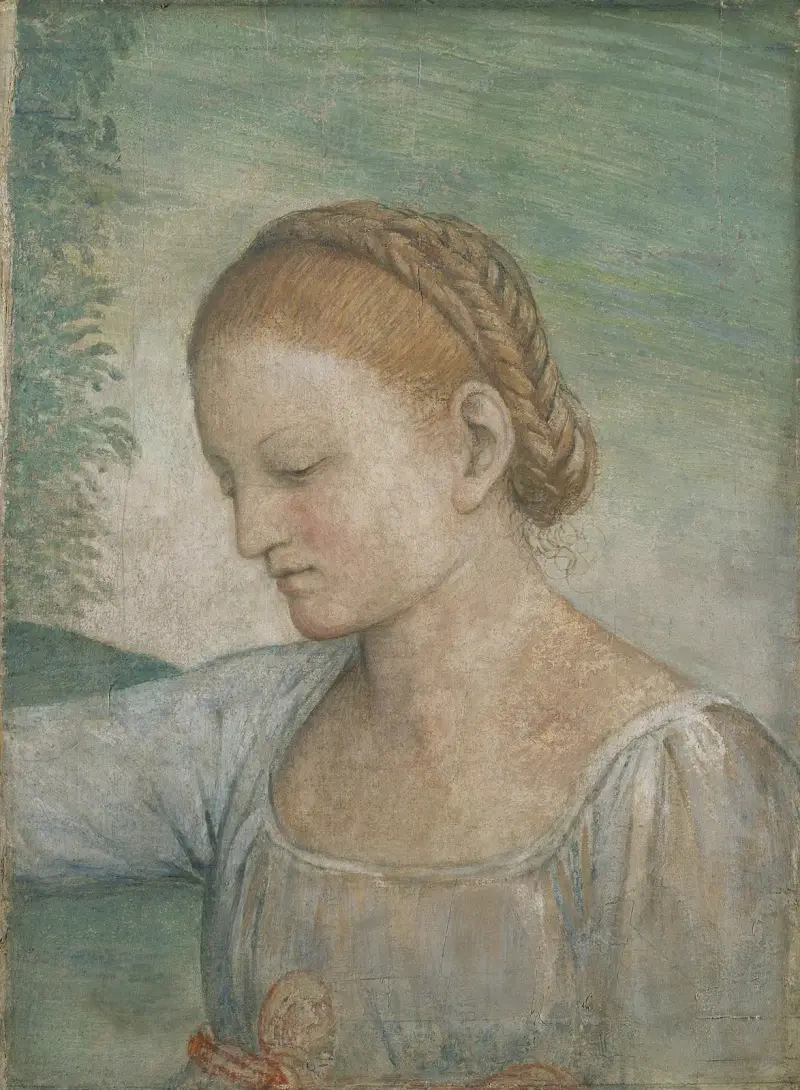 Głowa dziewczyny, Bernardino Luini