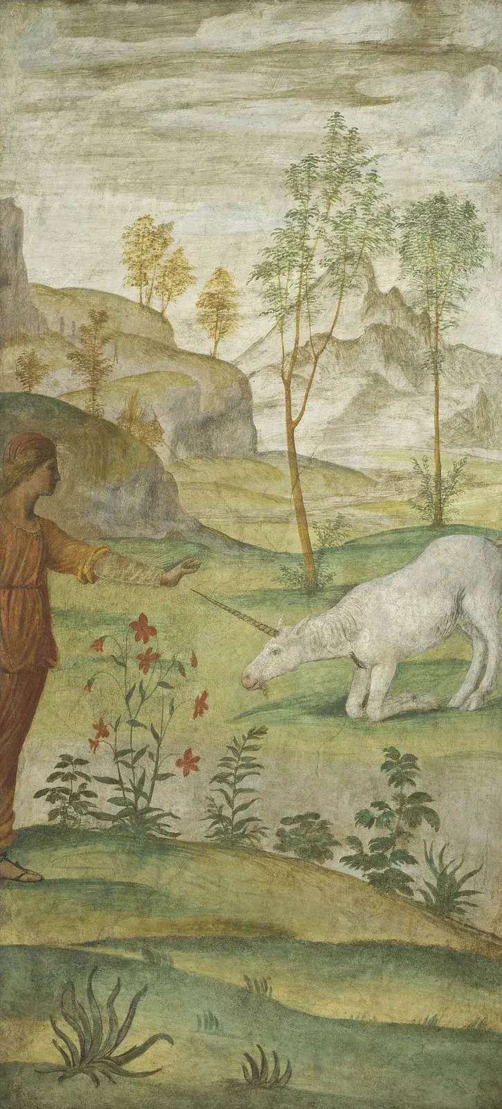 Procris and the Unicorn av Bernardino Luini