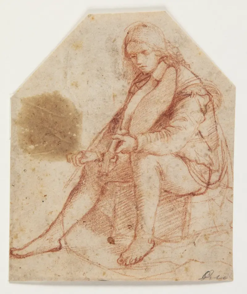 Siedzący młodzieńiec z altówką, Bernardino Luini