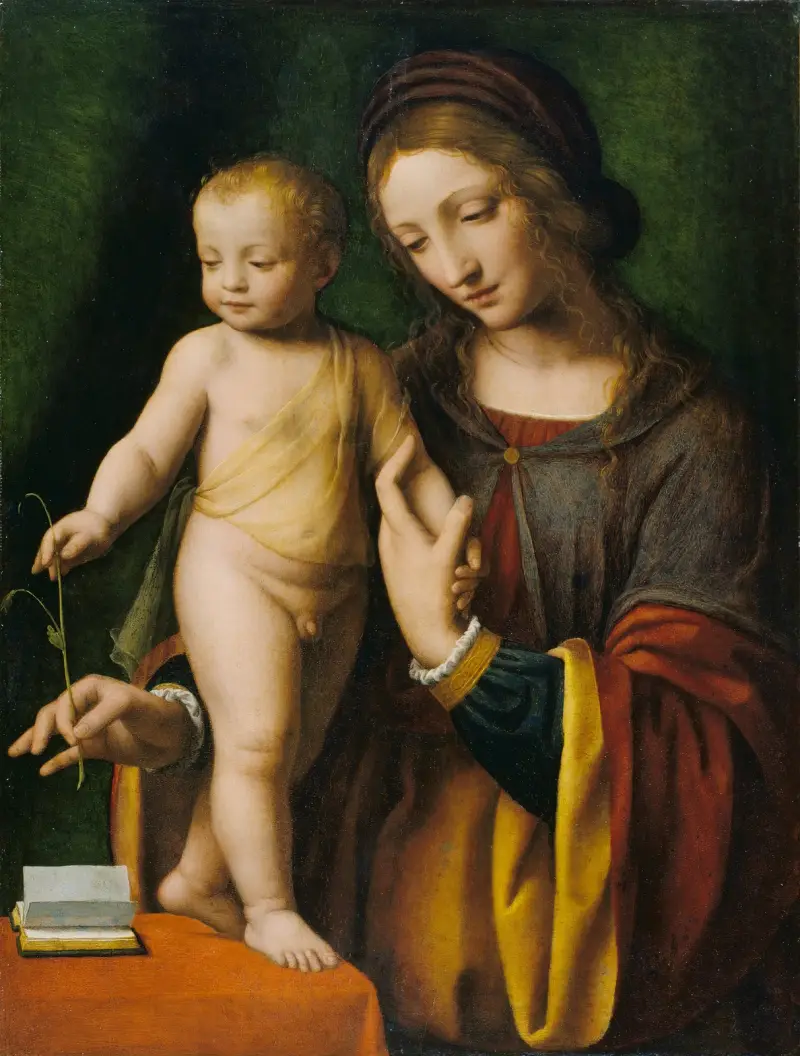 Madonnan med barnet och en akleja av Bernardino Luini
