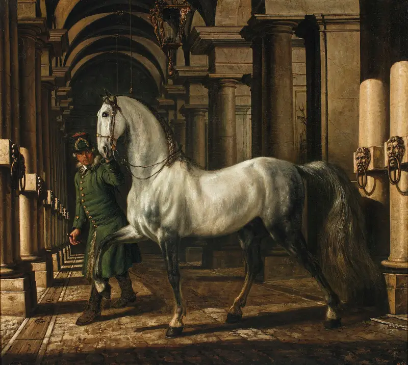 Stable boy leading a horse av Bernardo Bellotto