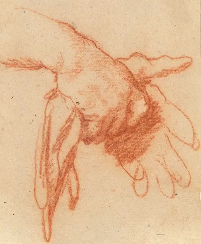 Ruka držící prázdné rukavice, Bernardo Strozzi