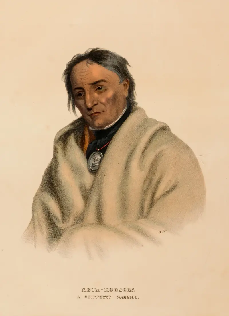 Meta-Koosega. Ein Chippewa-Krieger von Charles Bird King