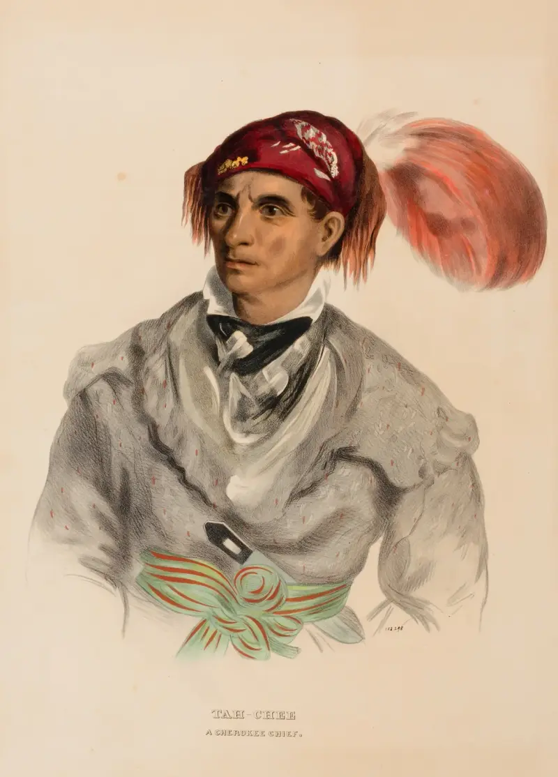 Tah-Chee (Dutch), A Cherokee Chief von Charles Bird King