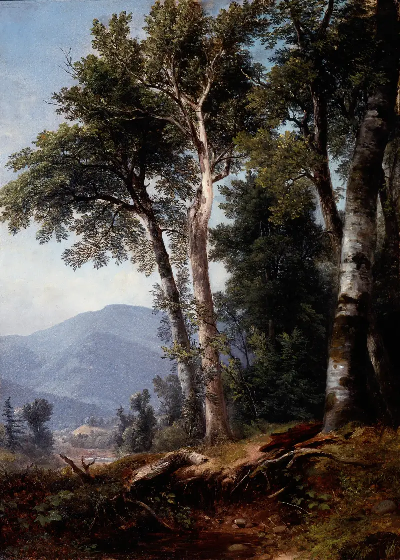 Lesní krajina, Asher Brown Durand