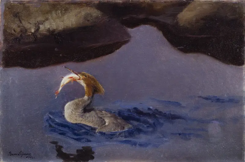 Weiblicher Gänsesäger von Bruno Liljefors