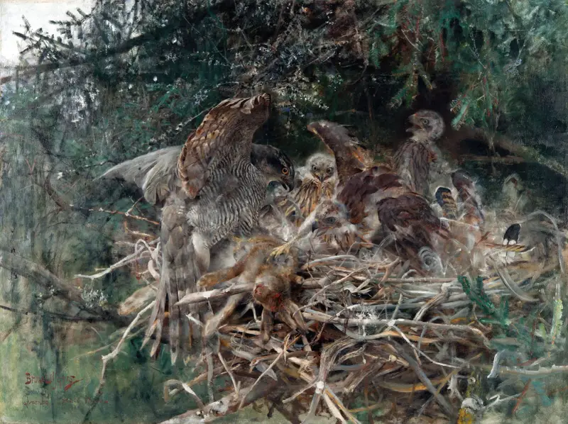 Habichtsnest von Bruno Liljefors