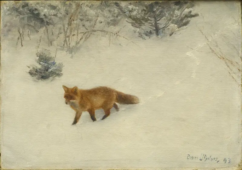 Räven av Bruno Liljefors