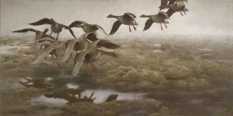 Wildgänse fallen ein von Bruno Liljefors