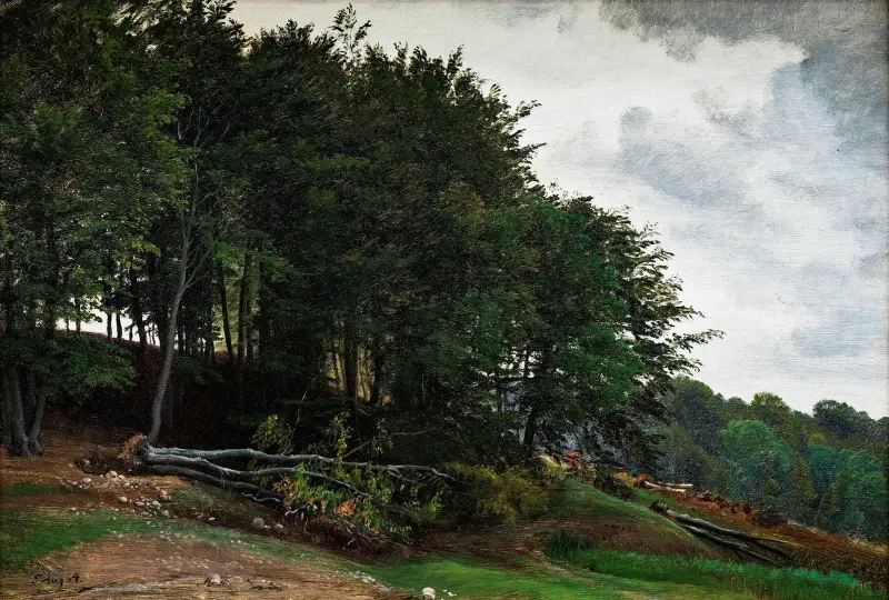 Bewaldete Hügel von P. C. Skovgaard