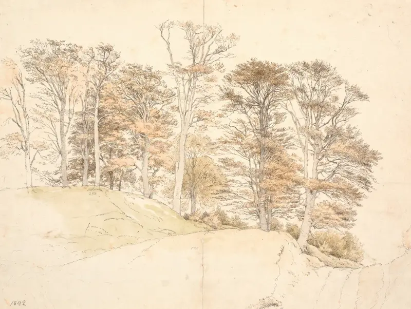 Höga träd med höstlöv på kuperad mark, 1841 av P. C. Skovgaard