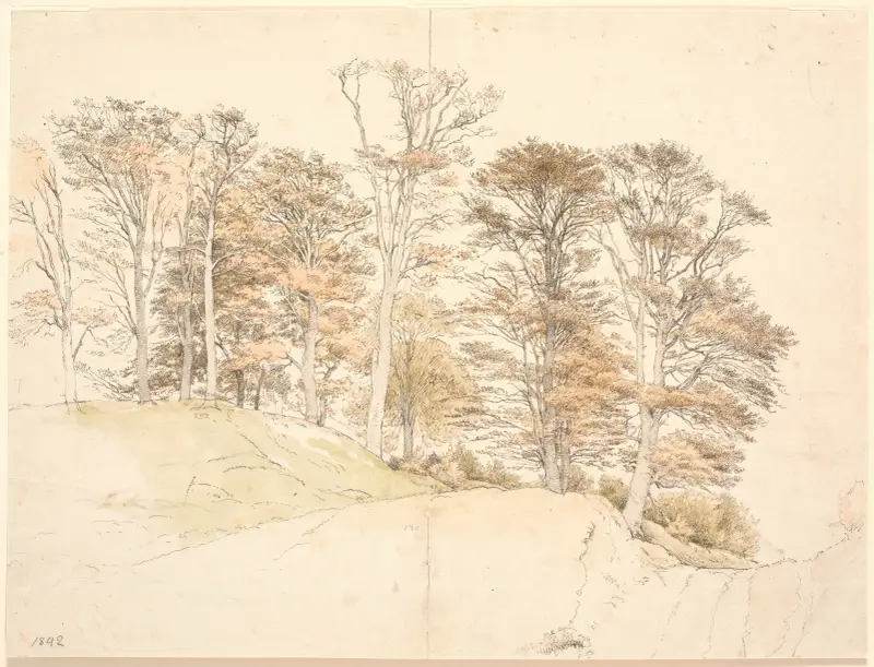 Höga träd med höstlöv på kuperad mark, 1842 av P. C. Skovgaard