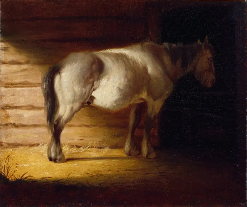 Altes Pferd auf dem Feld von George Caleb Bingham