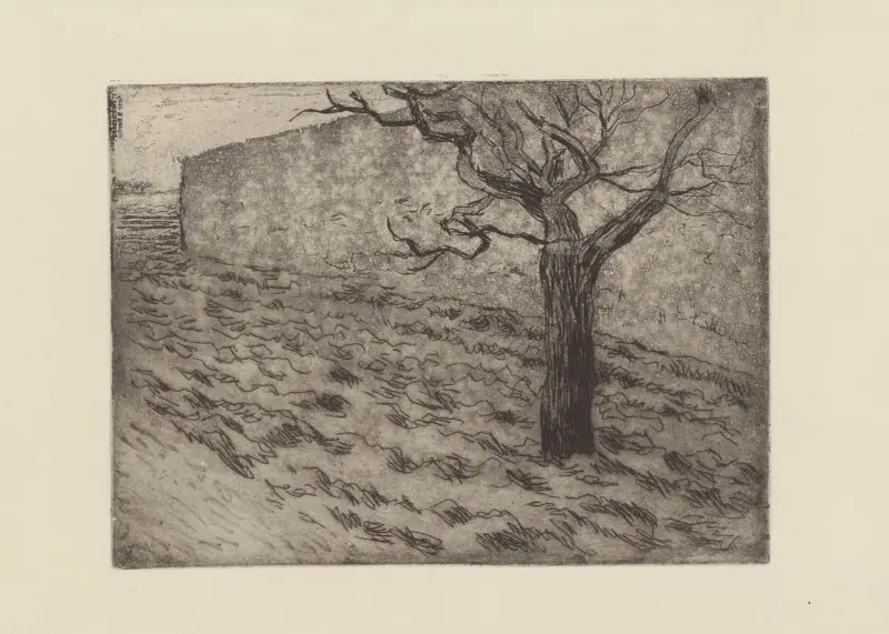 Baum und gepflügtes Feld von Camille Pissarro