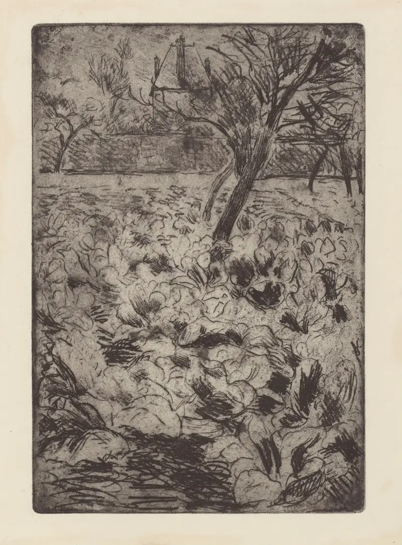 Le champ de choux av Camille Pissarro