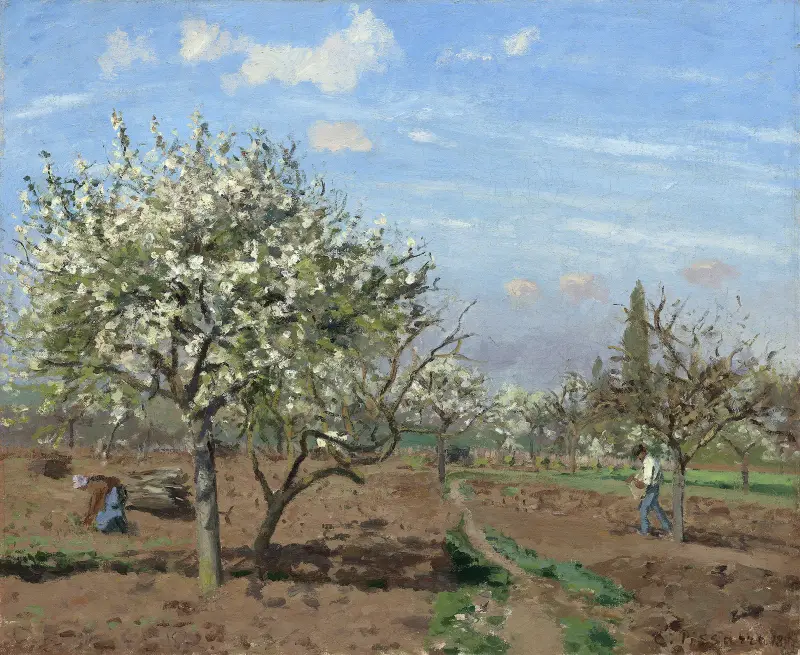 Blommande fruktträdgård, Louveciennes av Camille Pissarro