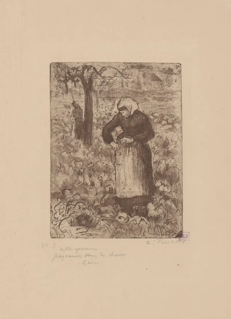 Bondkvinna bland kål av Camille Pissarro