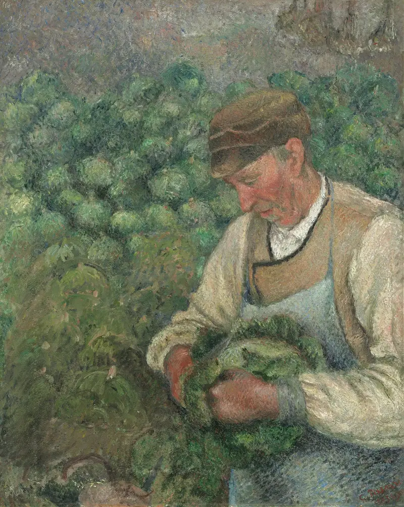 Trädgårdsmästaren – gammal bonde med kål av Camille Pissarro