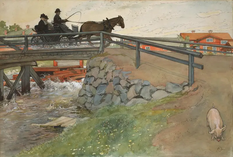 Most, Carl Larsson