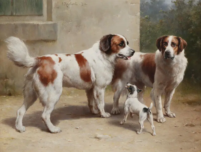 Drei Hunde von Carl Reichert