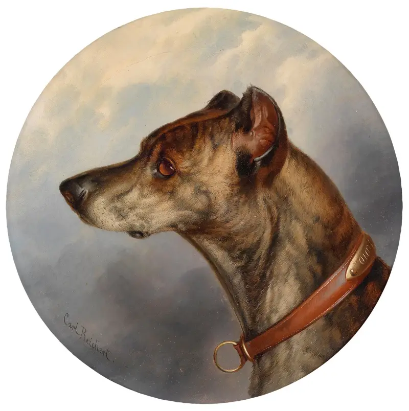 Hundeporträt rund von Carl Reichert