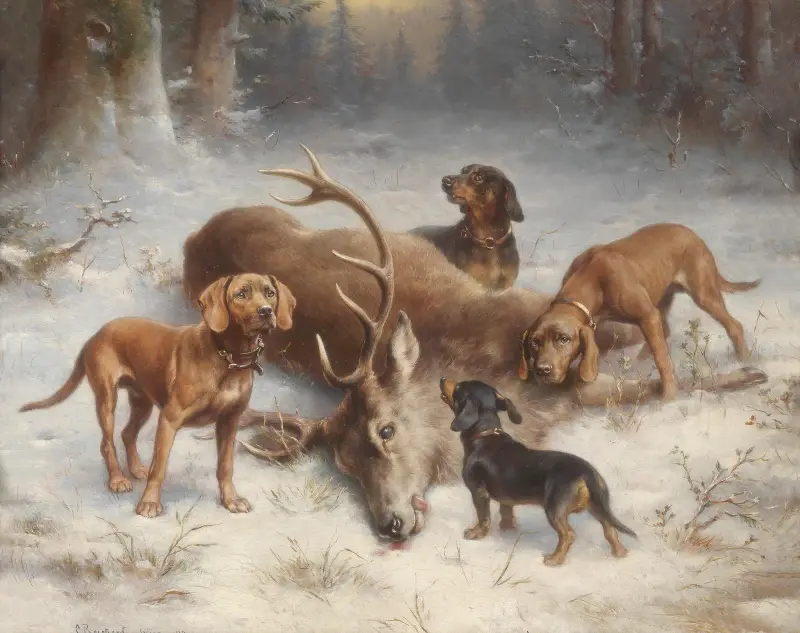 Spårhundar med fällt hjortdjur av Carl Reichert