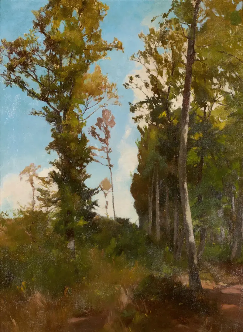 Skogsglänta vid Purkersdorf av Carl Schuch