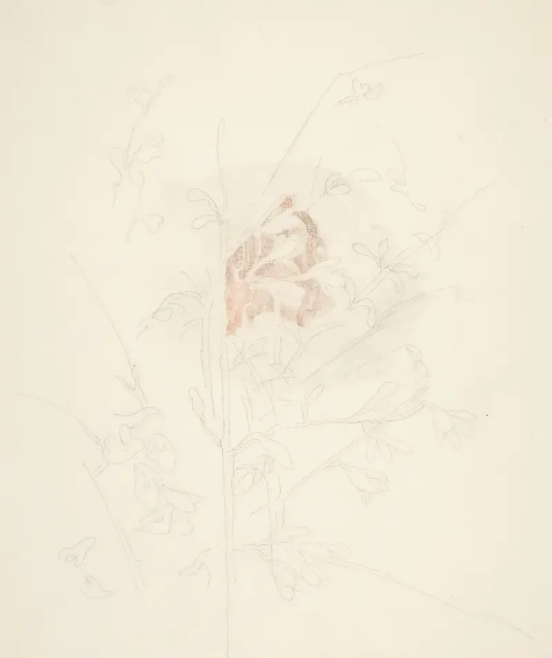 Flower av Charles Demuth
