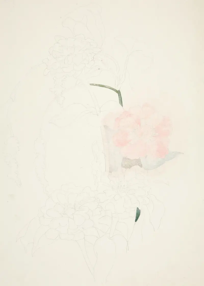 Cínie, Charles Demuth