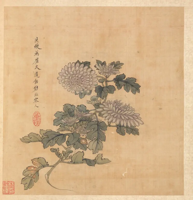 Chrysantheme von Chen Hongshou
