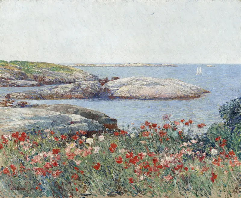 Poppies,Isles of Shoals av Childe Hassam