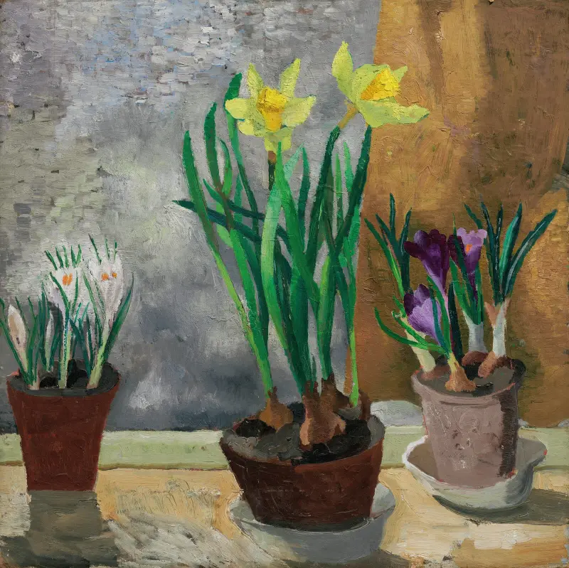 Krokusse und Narzissen in Töpfen von Christopher Wood