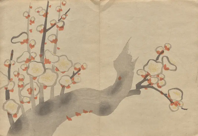 Kōrin-bildboken, plansch 19 av Hōchū Nakamura