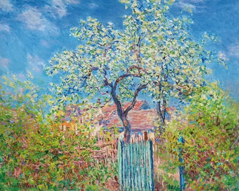 Poirier En Fleurs av Claude Monet