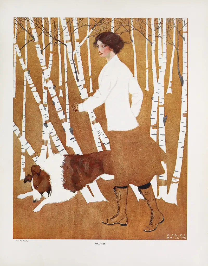 Brzozy, Coles Phillips