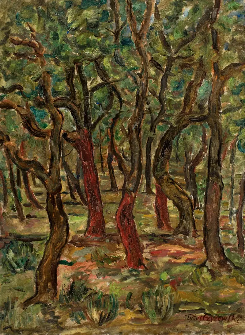 Forest av Tytus Czyżewski