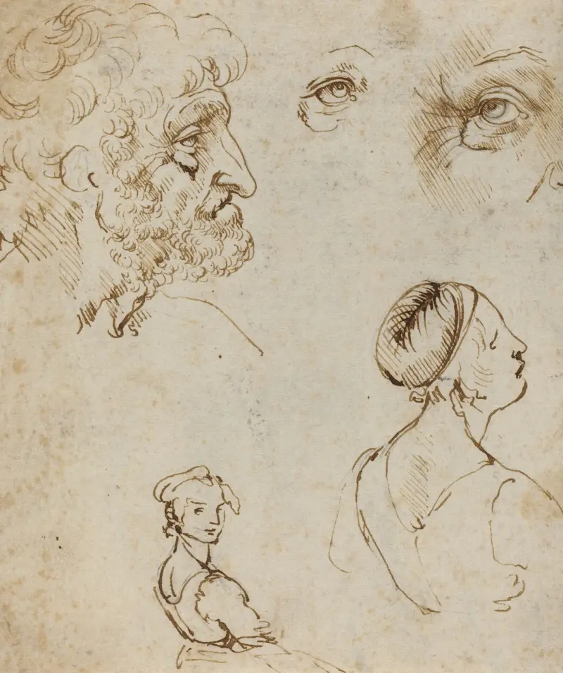 Studienblatt von Leonardo da Vinci
