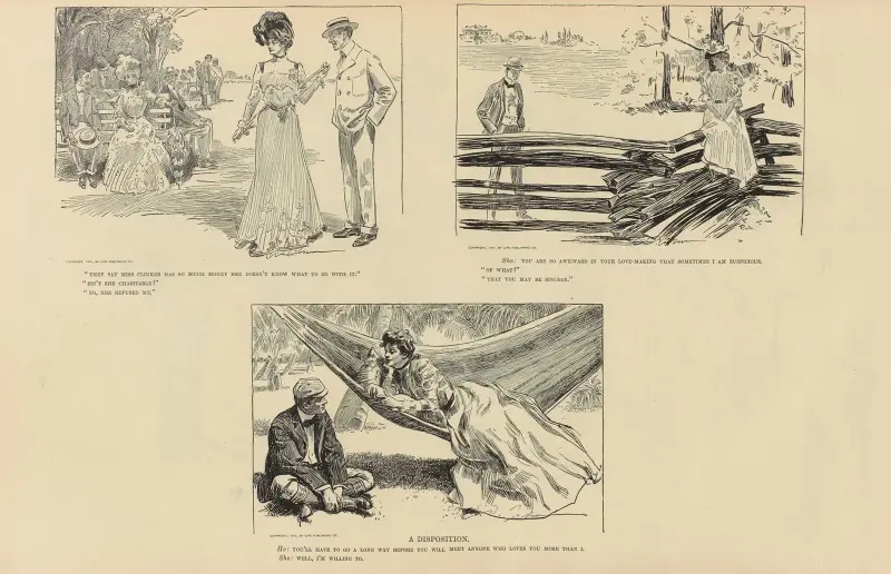 Eine Disposition von Charles Dana Gibson