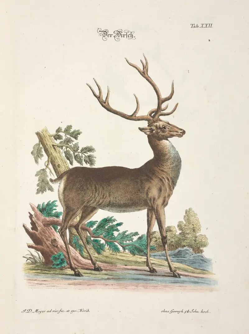 Nöjsamt och nyttigt tidsfördriv, plansch 22 av Johann Daniel Meyer