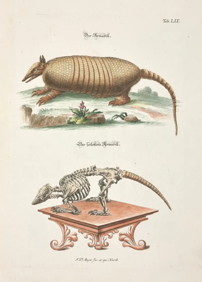 Angenehmer und nützlicher Zeit-Vertreib Pl.059, Johann Daniel Meyer