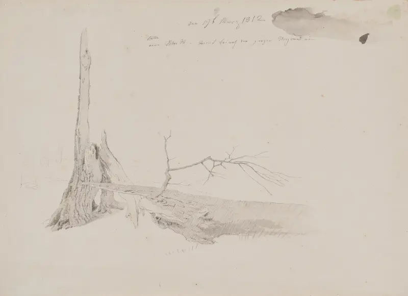 Tree Stump, Caspar David Friedrich