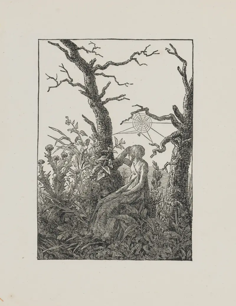 Kvinna med spindelnät av Caspar David Friedrich