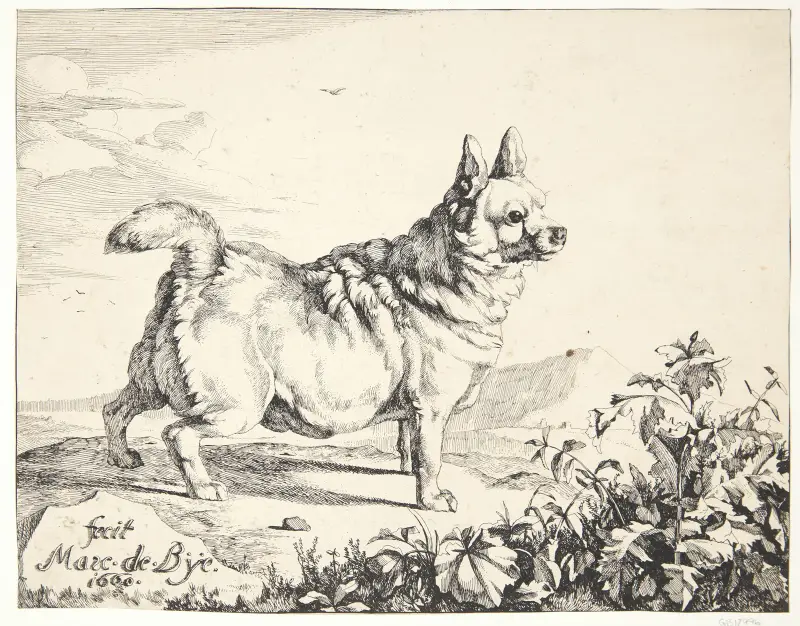 Stående hund, gadekryds av Marcus de Bye