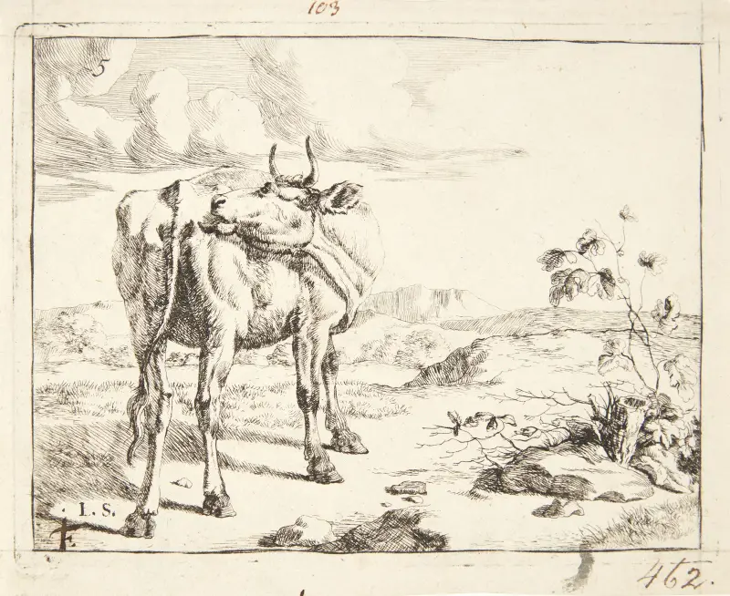 Stehende Kuh, von hinten gesehen – Nr. 2 von Marcus de Bye